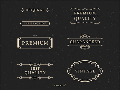 Vintage premium label collection vectors beauty branding collection company design identity illustration label lettering minimal original premium spa vector vintage