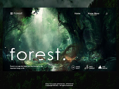 forest mockup 16 may 21