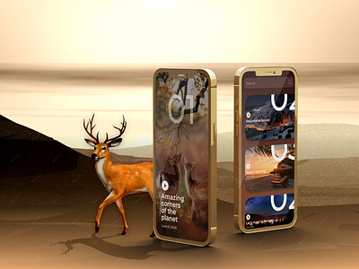 wildlife app ui/ux design adobe branding mobile app ui ui design xd