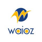 WAIOZ Consultancy Services