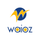 WAIOZ Consultancy Services