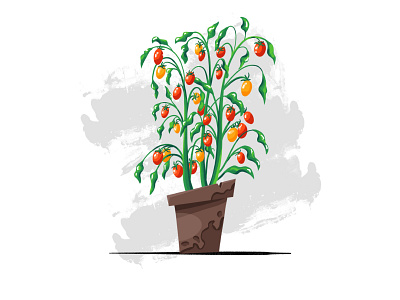 Tomato bush in a pot textured illustration botanical illustration branding cartoon comission design food food illustration garden gardening graphic design harvest illustration nature illustration procreate tomato