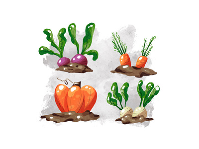 Carrot, beetroot, pumpkin, and turnips in soil.