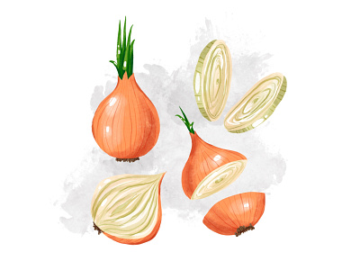 Bright onions set branding cartoon comission design food food illustration graphic design illustration onion package design procreate illustration