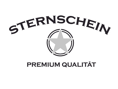 Logo for STERNSCHEN branding logodesign