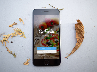 GoFoodie Welcome Screen Design ios iphone mobile sign-in ui ux