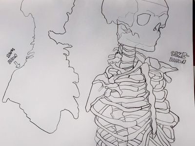 Blind and Semi Blind Skeleton blind pencil sketch ribcage semi blind skeleton skull