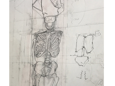 Skeleton Sketch contour pencil sketch ribcage skeleton skull