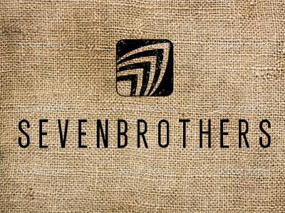SEVENBROTHERS brand icon identity logo surf typography