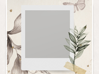 Blank Photo Frame On Nature Background art background butterfly copy space design art designs film polaroid frame leaf nature picture polaroid