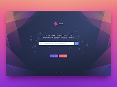 landing page