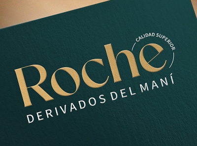 Roche branding graphic design logo