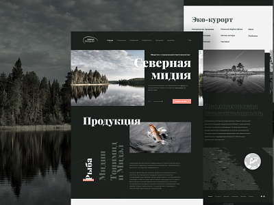 Design concept for one page of the big project "Northern Midia" design ui ux