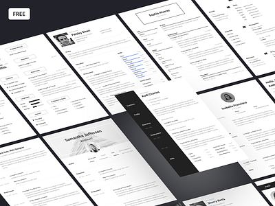 Curriculum Vitae Designs Themes Templates And Downloadable Graphic Elements On Dribbble