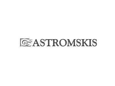 Ari Karnovski Portfolio Logo 010