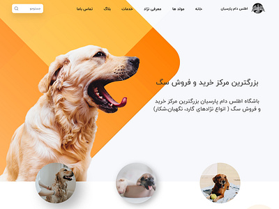 Web design for Atlas Dam Parsian branding design landing ui ui template uikit uiux ux webdesign