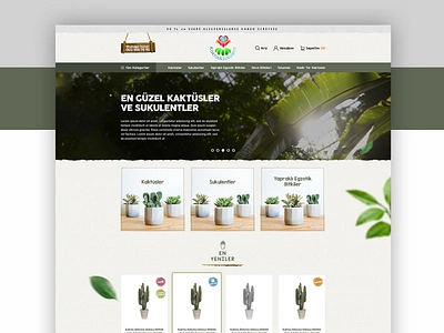 Cactuses & Succulentes E-Commerce Flower Shop adobe xd art direction branding clean concept ecommerce ecommerce design ecommerce shop ecommerce template illustration kaktus sketch app sukulent typography ui ui ux ui ux design ux web website