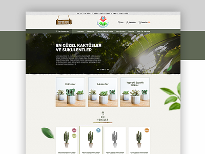 Cactuses & Succulentes E-Commerce Flower Shop