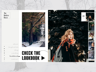 Practice Shot #2 - The Winter Voice Lookbook Concept