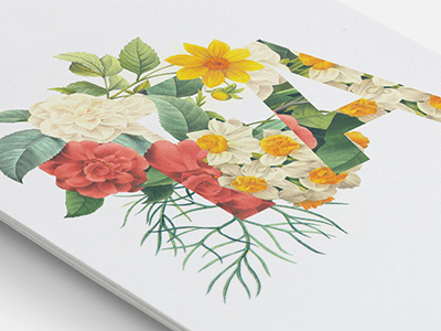 Floral Typography illustration typography vintage