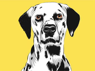 Dalmatine dog cartoon illustration animal art card cartoon dalmatine digital dog friend illustration illustrator poster vector