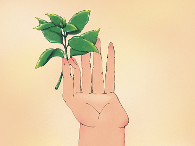 Basil in hand illustration