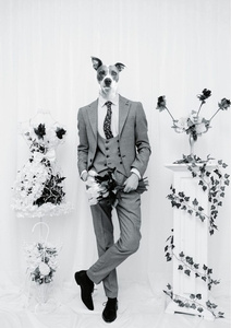 The bachelor black white composite dog dog illustration manipulation photography weddingphotography