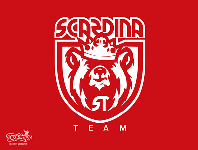 SCARDINA team concept bear branding chipdavid creative crown design dogwings drawing illustration logo sports graphic vector
