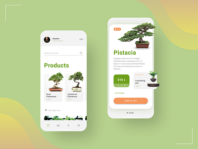 Bonsai UI app