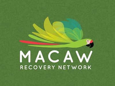 Macaw Recovery Network Logo bird branding design colorful logo logo design logodesign logodesigner logodesigns nonprofit nonprofits tropical
