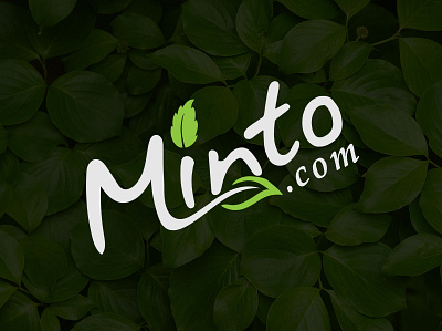 Minto branding design logo minimal vector website logo