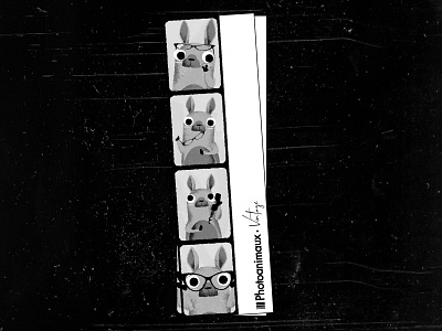Photoanimaux vintage animals black white character cute animal illustration noise photograph texture vector vintage design