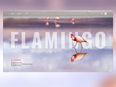 Flamingo Website adobexd flamingo homepageui minimal ui website websiteui