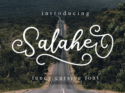 Salahe - a funcy cursive font aerokids book branding brush font calligraphy cover hand lettering handwriting hipster lettering ligatures logo font logos logotype print quote script sign painting stylish font trendy