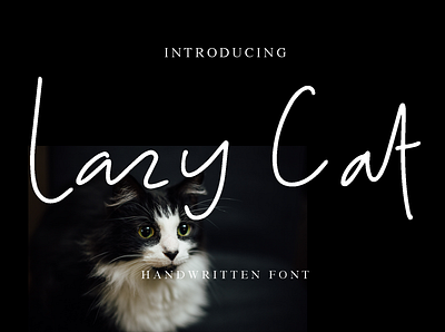 Lazy Cat handwritten font branding casual classy doodles elegant fashionable fun graphics handwriting ink logo natural pen poster realistic stylish wedding writing written