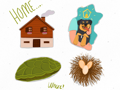 Home art character design digital illustration digital painting dribbble emotional design graphicdesign home illustration illustration art illustrator pandemic