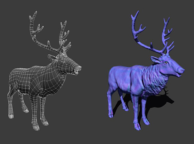 Deer 3D Wireframe 3d design deer wireframe design