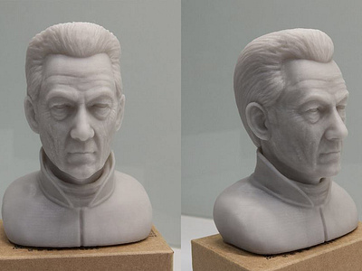 3D Printing Head 3d 3d head 3d printing