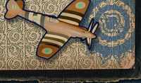 aviators brown plane