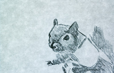 squirrel, you know it's true illustration sketch