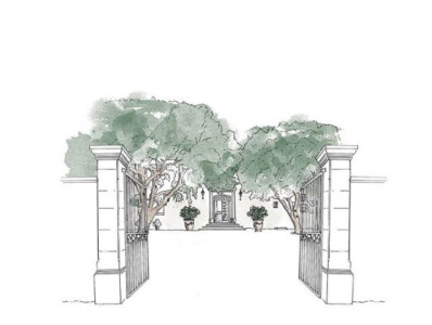 Venue / Domaine drawing illustration nature plants vegetal venue