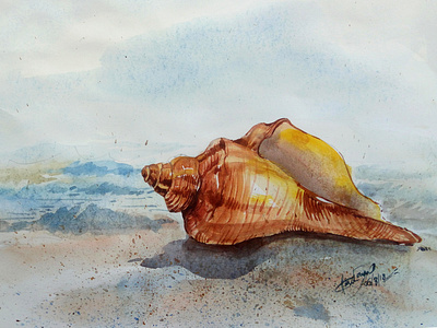 Seashell in watercolor drawing drawing challenge illustration art ocean paint brush paintings seashell water colors
