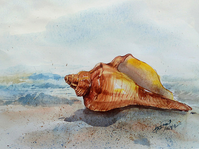 Seashell in watercolor