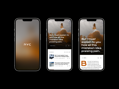 NYC News - App Screens 3