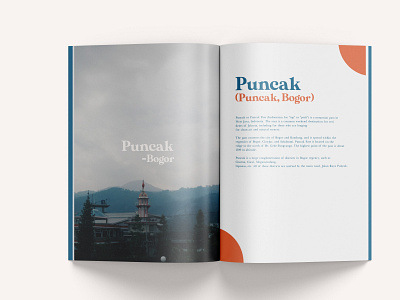 puncak brand brand identity branding design editorial design illustration layout logo magazine packaging print typography