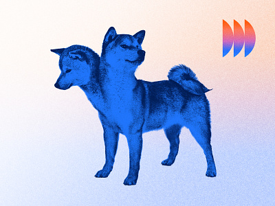 Double Dog Dare-A-Thon blue dare doge double dog event branding icon middle school shiba inu silly two headed