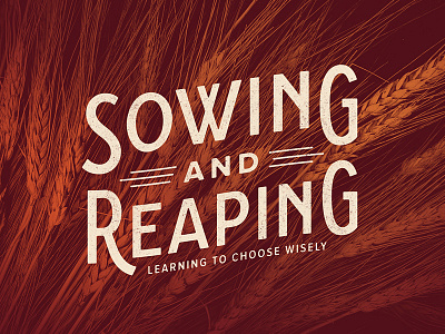 Sowing and Reaping branding church message series sermon title typography