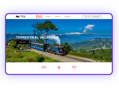 The Terrestrial Vacations Template template design webdesign website wordpress theme