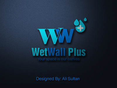 WetWall Plus Logo Design aqua business logo company logo creative logo plus wall waterdrop waterproof wet