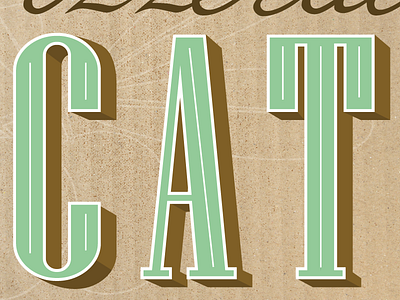 C-A-T caps cat letters shadow type typography